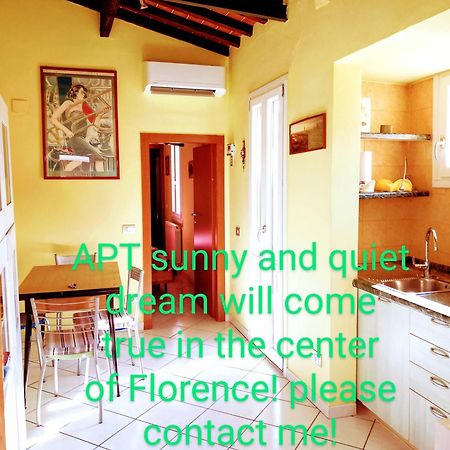 Apt Bright, Quiet! In The Center. ฟลอเรนซ์ ภายนอก รูปภาพ