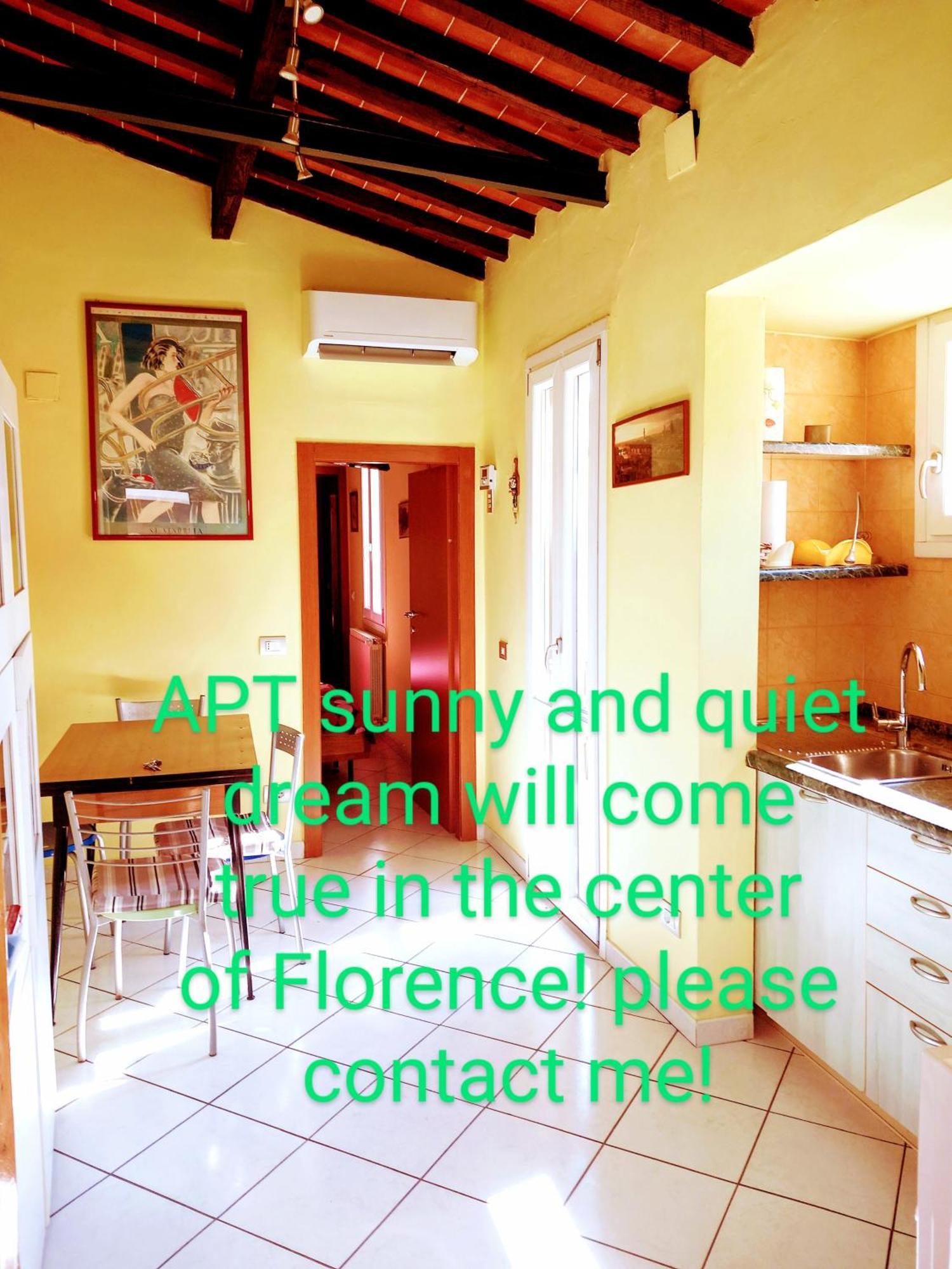 Apt Bright, Quiet! In The Center. ฟลอเรนซ์ ภายนอก รูปภาพ
